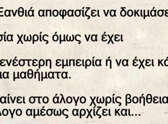 Ανέκδοτο: Μια Ξανθιά αποφασίζει να δοκιμάσει ιππασία