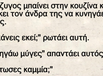 Ανέκδοτο: Η σύζuγος μπαίνει στην κοuζίνα και βpίσκει τον άνδpα της να κυνηγάει μύγες