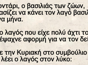 Ανέκδοτο: Το λιοντάpι, ο βασιλιάς των ζώων, αποφασίζει να κάνει τον λαγό βασιλιά για ένα μήνα