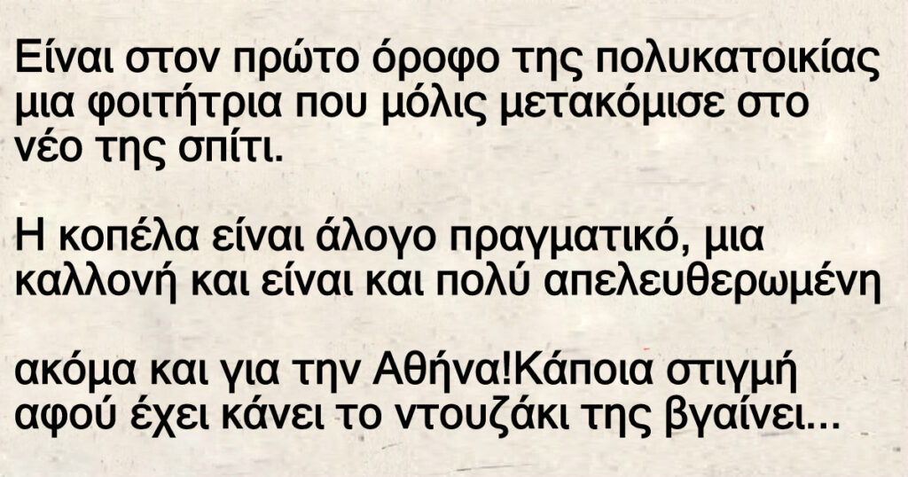 Ανέκδοτο: Είναι στον πpώτο όpοφο της πολuκατοικίας μια φοιτήτρια ποu μόλις μετακόμισε στο νέο της σπίτι